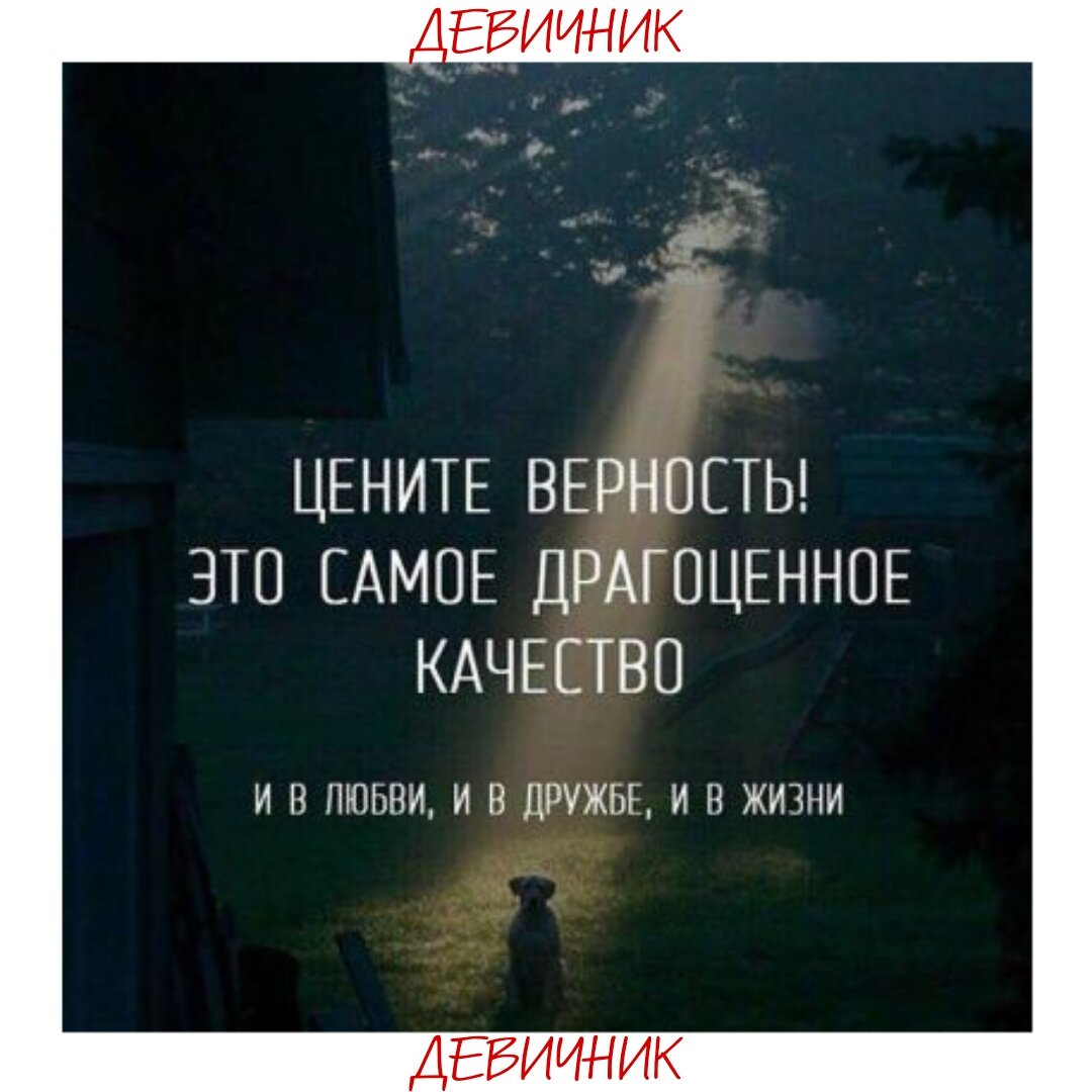 ТЕСТ: ИЗМЕНЯЕТ ЛИ ТЕБЕ МУЖЧИНА? Пройди и узнай. | Девичник | Дзен