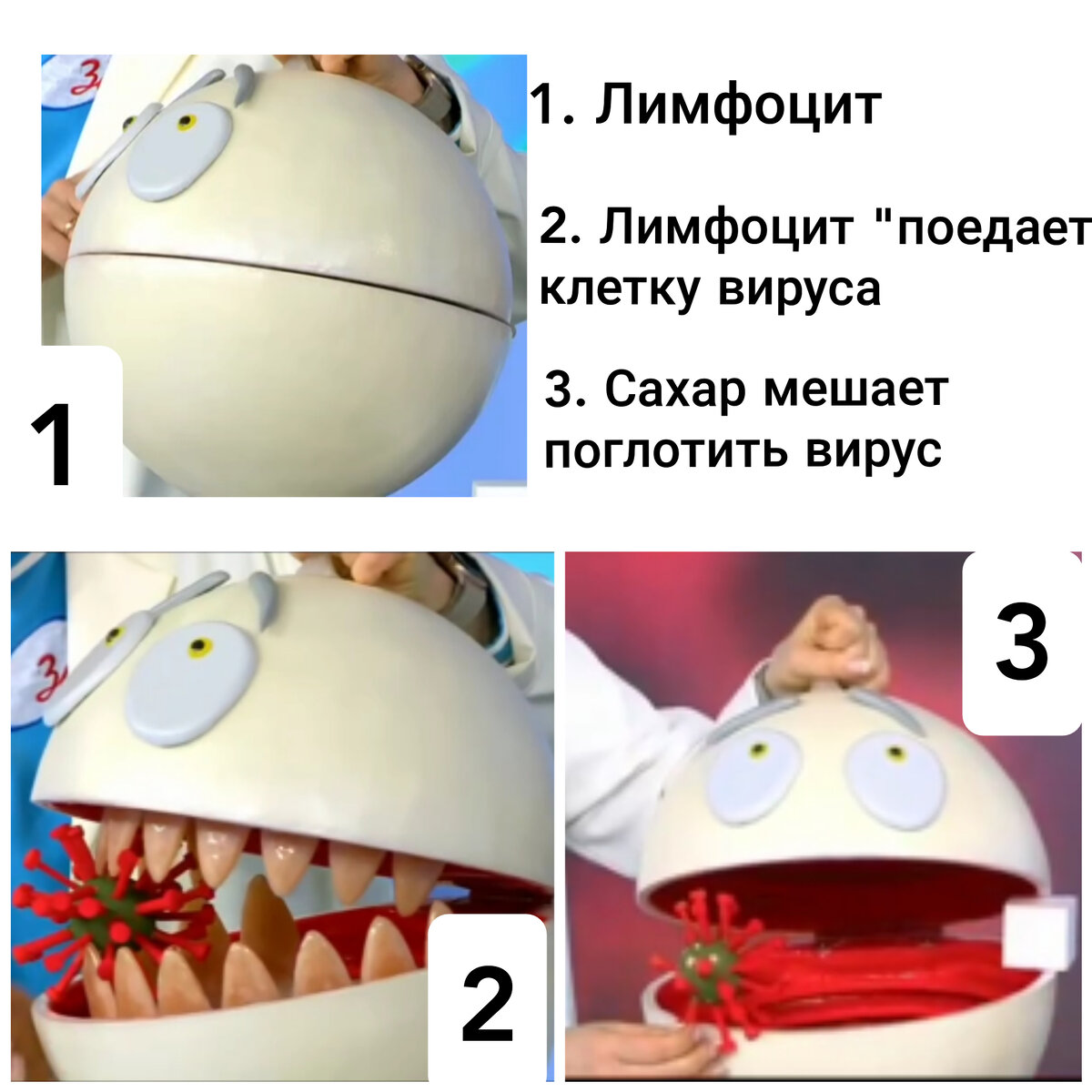 Фото - скриншот с "Здорово жить" https://youtu.be/1tu-JC2Tz6Q