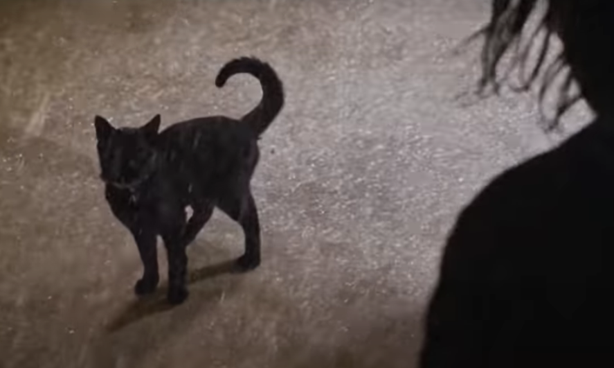 Киану Ривз возвращается к роли Нео.