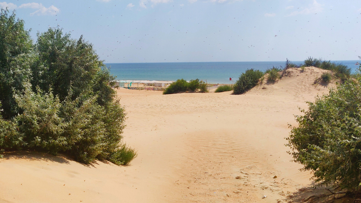 Песчаные барханы на Пионерском проспекте