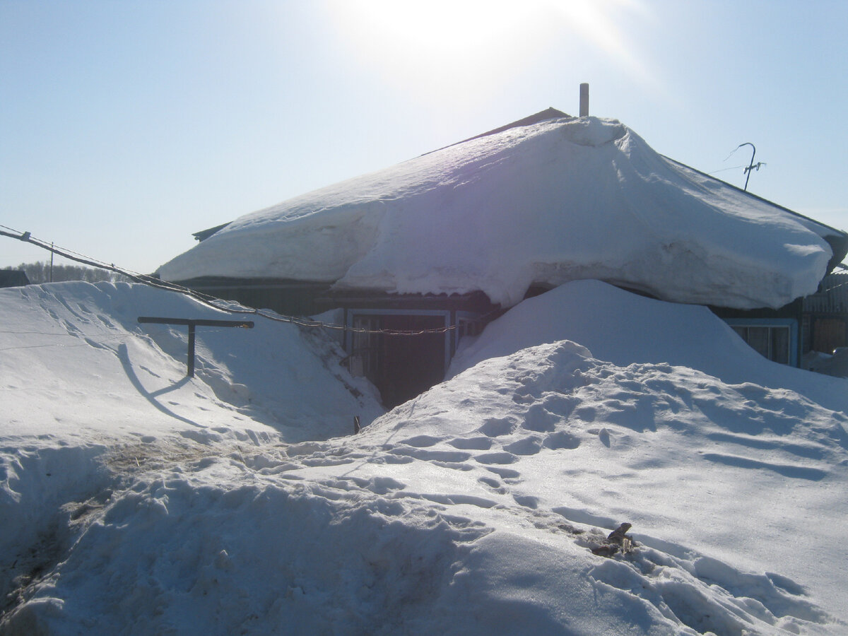 Бывает и так... Третий год на алтайской земле