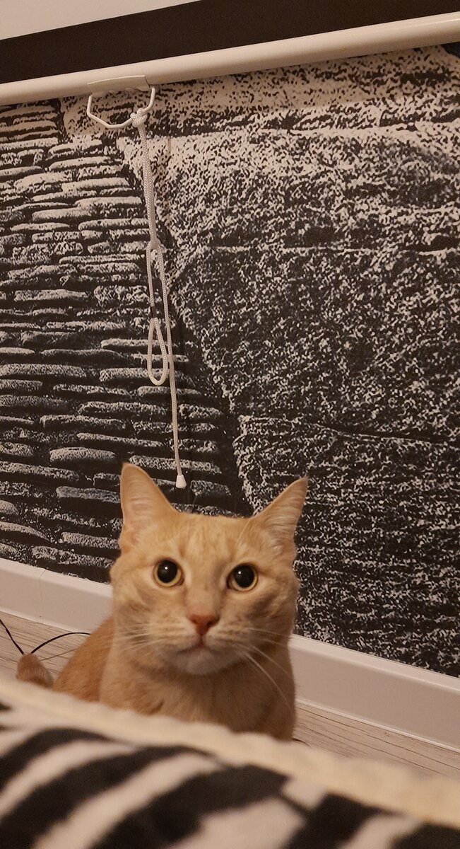 Вот она, эта верёвочка...