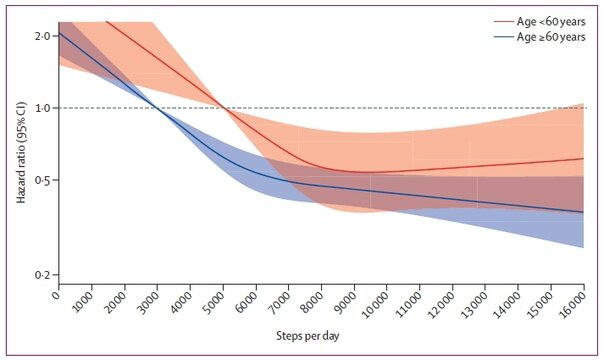 Связь «доза-реакция» между шагами в день и смертностью от всех причин в разбивке по возрастным группам