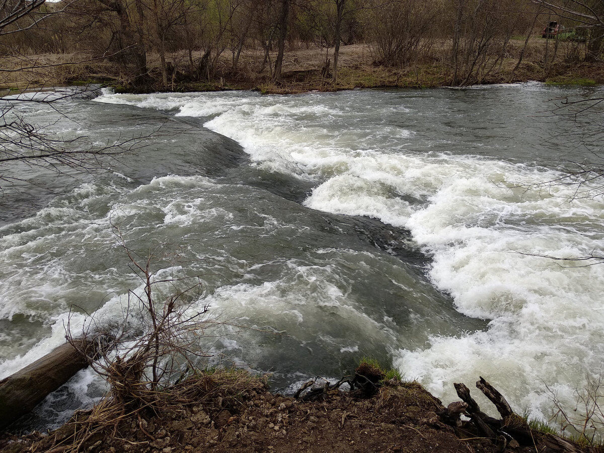 Немного мрачные фото, с погодой не очень нам повезло, было пасмурно