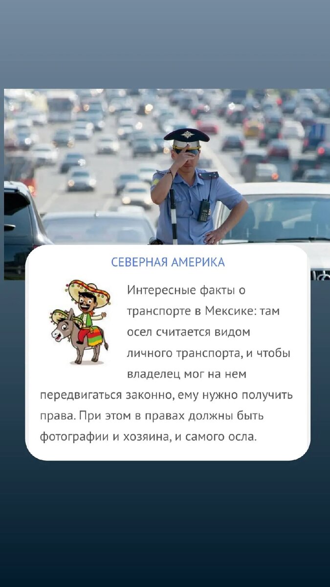 #автоновости #автоприколы #автострахование #автозапчастивналичии #автопробег #автолук #автопати #автозапчастидляиномарок #автомойка #панда_копирайтинг #ремонтавто #автоподбор #продажаавто #автоледи #тюнингавто #полировкаавто #подборавто #автопутешествие #авторемонт #химчисткаавто #купитьавто #автомобилист #автошкола #авторынок #автоизсша #автоаксессуары #покраскаавто #выкупавто #автоспробегом #автомагазин #автоваз