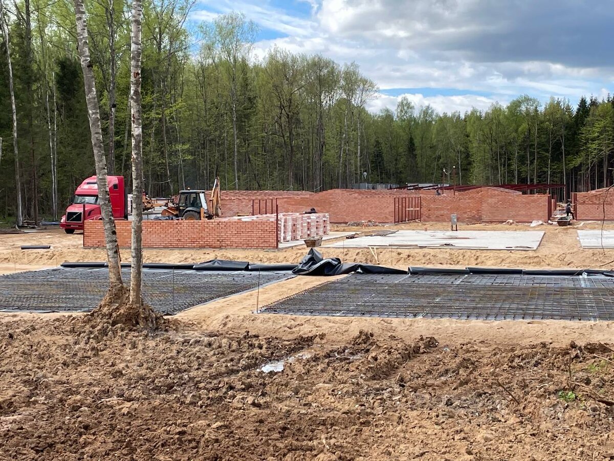 На месте строительства приюта для животных в Новой Москве. Источник: телеграм-канал Евгения Ступина