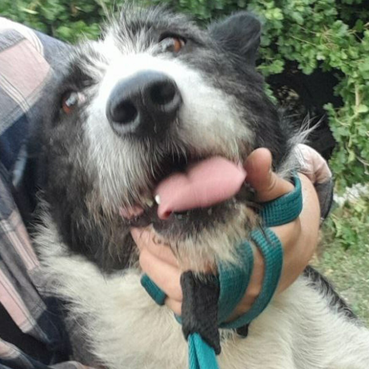 Просит ее поддержать 