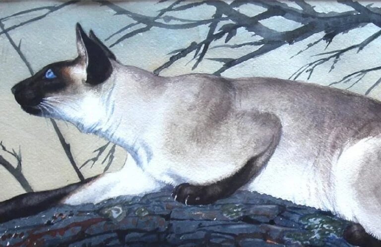 Чарльз Фредерик Танниклифф, "Преследующий сиамского кота"