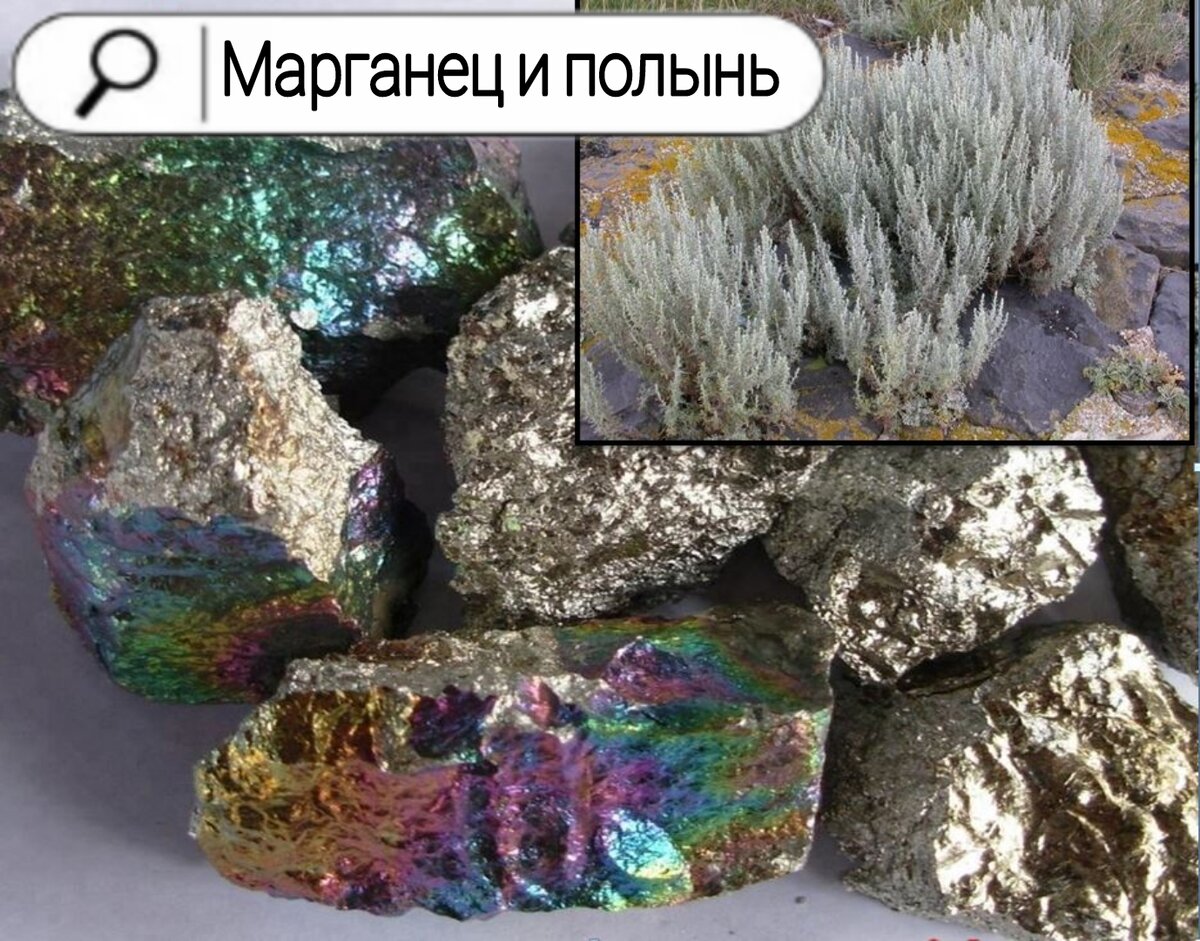 Фото из интернета. Яндекс картинки.