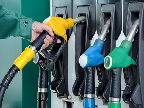     Фото: ru.freepik.com