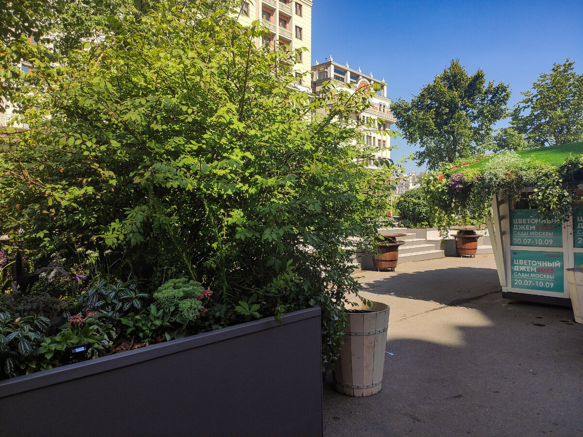 Фестиваль цветов в гуме. Джем 2023. Фестиваль цветочный джем в москве 2023. Фестиваль цветов в москве 2023. Цветочный джем зарядье.