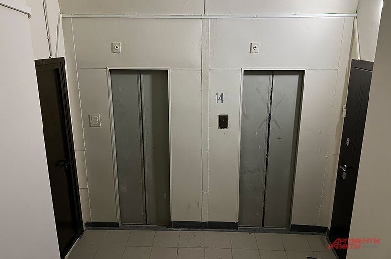    Фото:  АиФ/ Виолетта Бурлакова