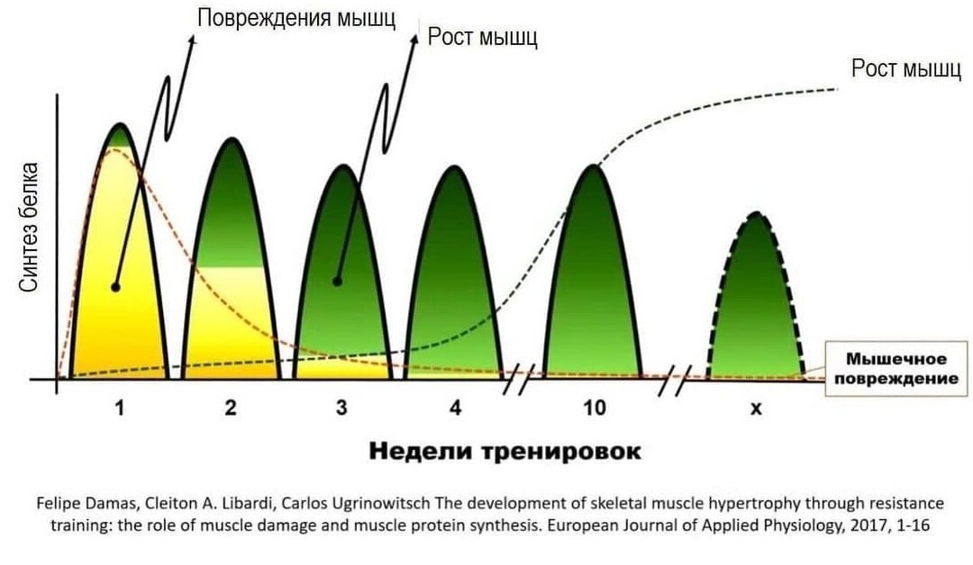 22 совета для анального секса без боли