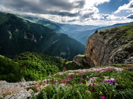    плато Лагонаки в Адыгее // фото: meditat.ru