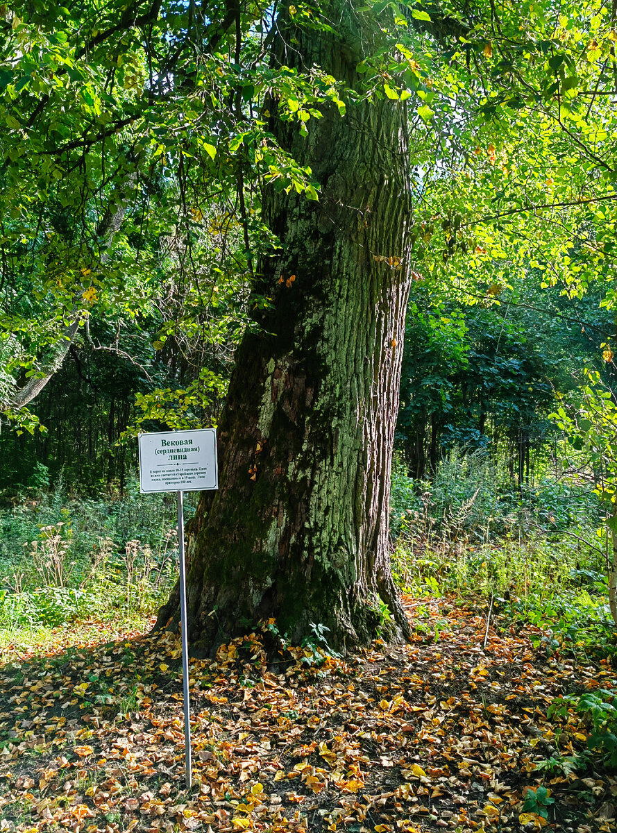 Фото из личного архива 