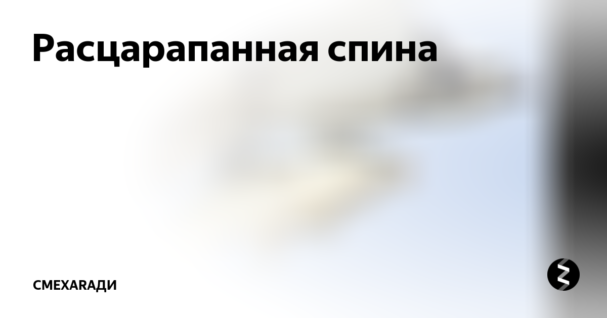Расцарапать расклеивший безынициативный несмышленый. Расцарапанная мужская спина. Расцарапанная спина и кот Мем