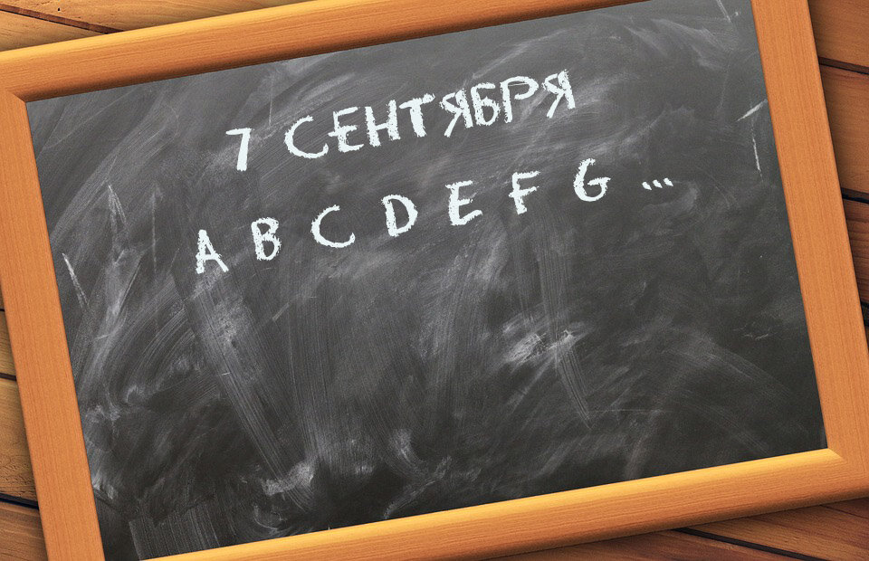 Смешные замечания в дневнике. Смешные замечания. Учитель заполняет журнал. Дневник начинающего учителя. Расписание уроков в дневнике.