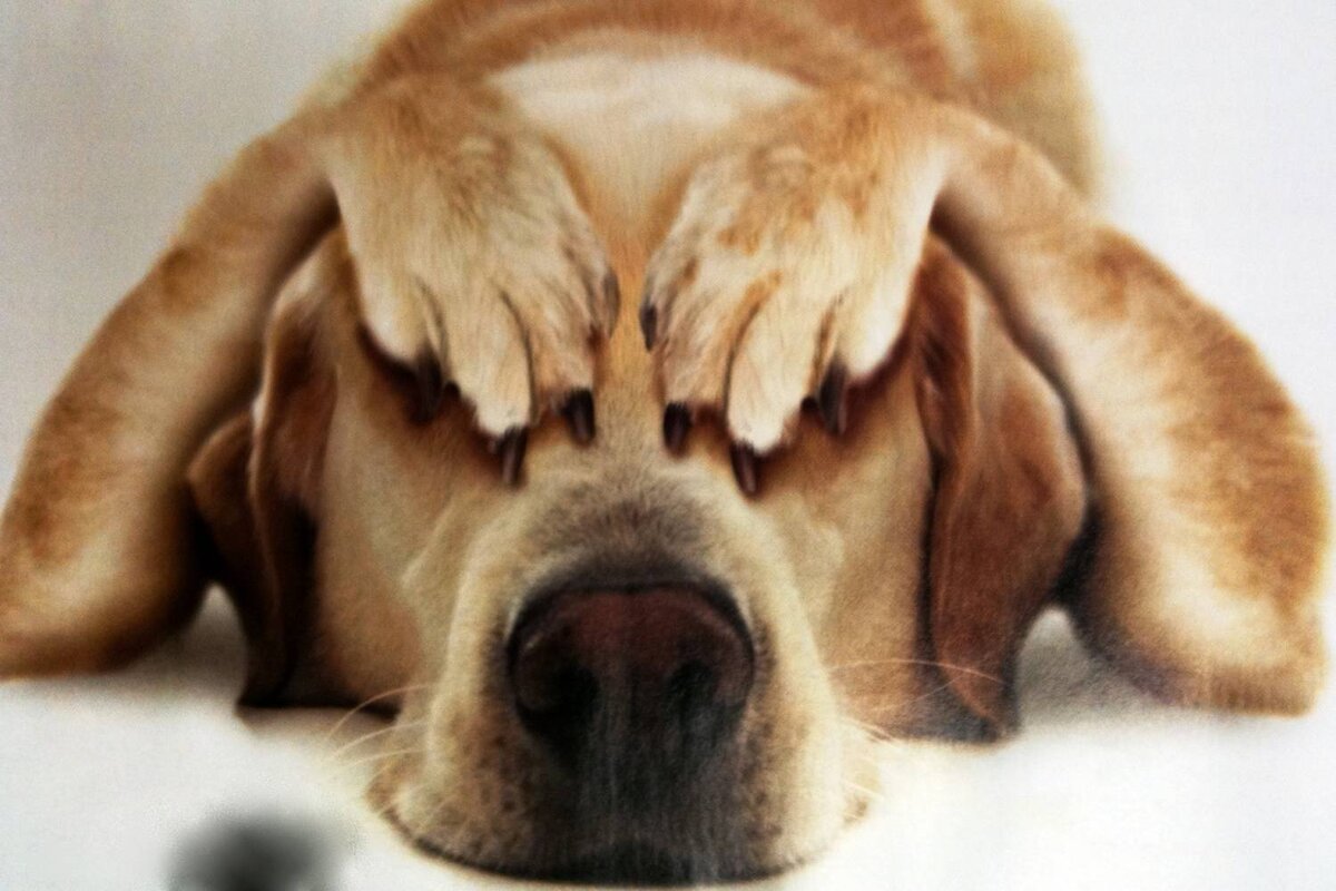 Симптомы анемии