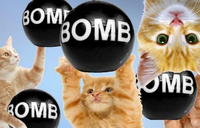 коты-бомбы второй мировой войны