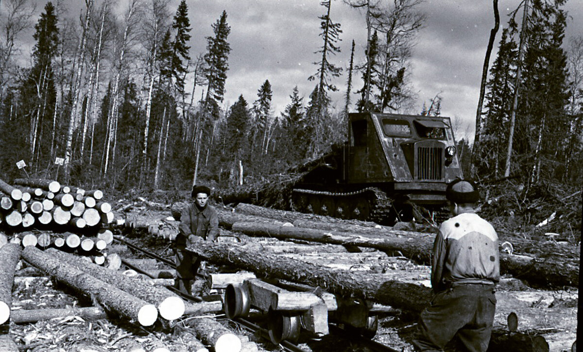Лесозаготовка в леспромхозе