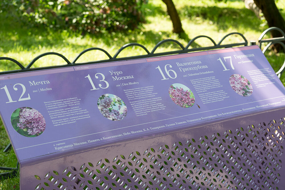 тишина и покой в природе. сад изящных слов аниме. Kamaedzitca - пяруне. москва парк нескучный сад фото. утро в сосновом лесу григ.