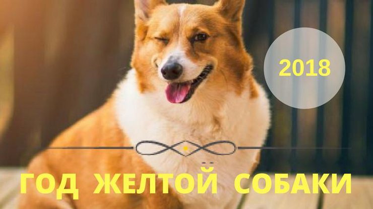 год желтой собаки 2018