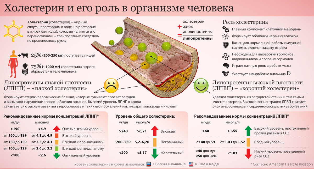 Холестерин низкой плотности