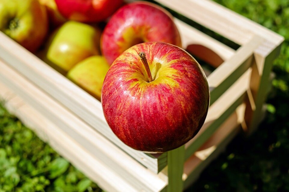 Количество калорий в свежих яблоках