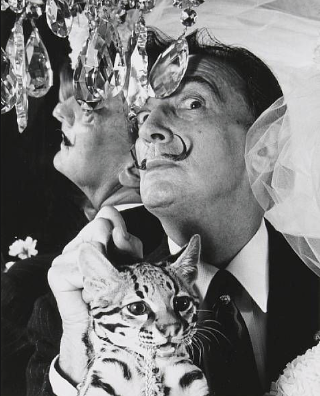 Salvador dali l ocelot. Сальвадор дали и его Оцелот. Сальвадор дали кошки. Оцелот кошка Сальвадор дали. Сальвадор Далис питомцем.