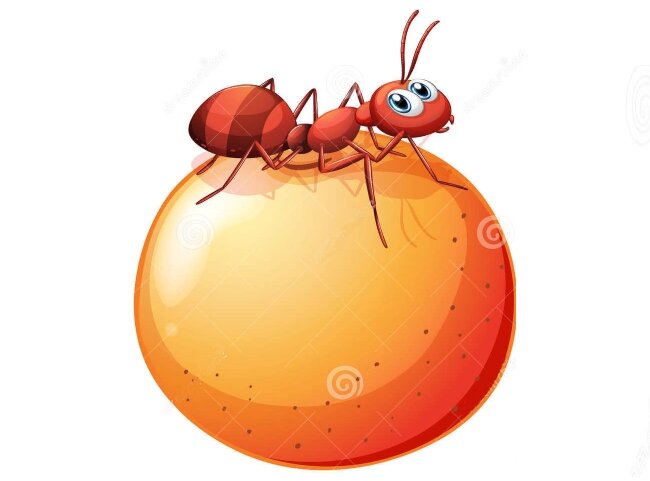 Фото из сервиса Яндекс. Картинки