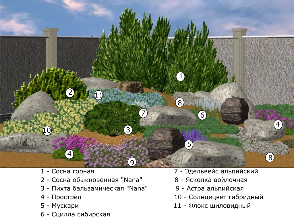 Схема посадки растений на альпийской горке с названиями