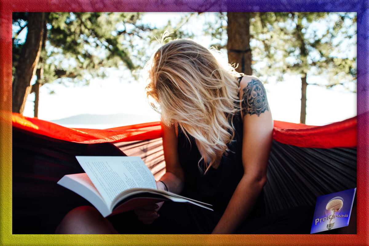 Изображение взято на сайте pixabay.com в свободном доступе по лицензии CC0.