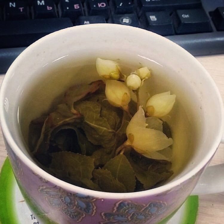 
Если вдруг у вас жасминовый чай горчит, это значить что такой напиток плохо заваренный.
Не наливайте воду из-под крана и не заливайте чай кипятком.
Температура воды не должна превышать 90 градусов.