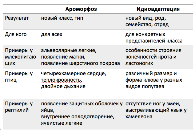 Ароморфоз 2 идиоадаптация 3 дегенерация. Ароморфоз и идиоадаптация. Ароморфоз идиоадаптация дегенерация. Ароморфоз и идиоадаптация примеры. Ароморфощы идиоадаптация
