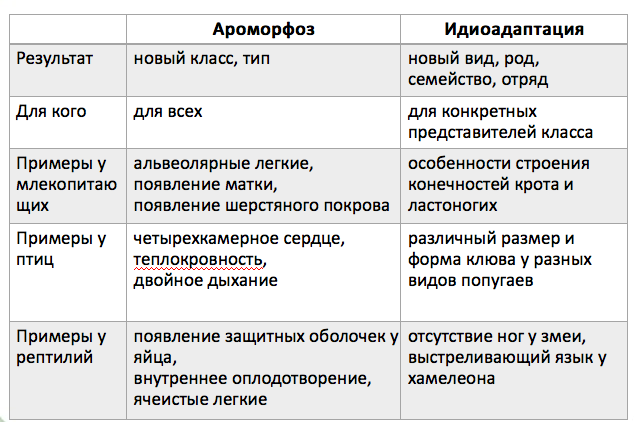 Направление эволюции ароморфоз идиоадаптация дегенерация таблица. Таблица пути эволюции ароморфоз идиоадаптация дегенерация. Примеры ароморфоза идиоадаптации и дегенерации таблица. Ароморфоз идиоадаптация дегенерация примеры.