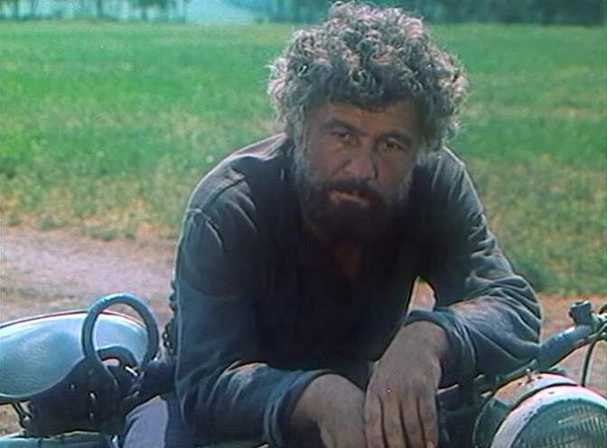 Будулай цветок. Будулай видео. Михай волонтир цыган. Будулай видео. Будулай собака.