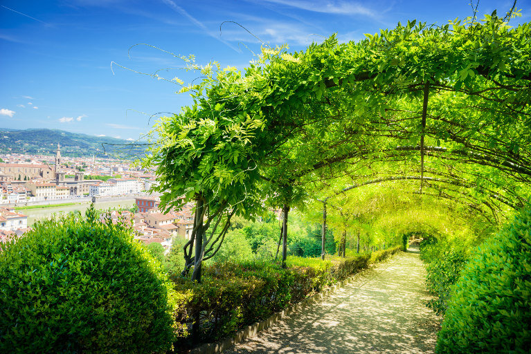 В саду Боболи