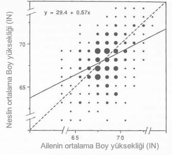 Boy Uzatmak Mümkünmü