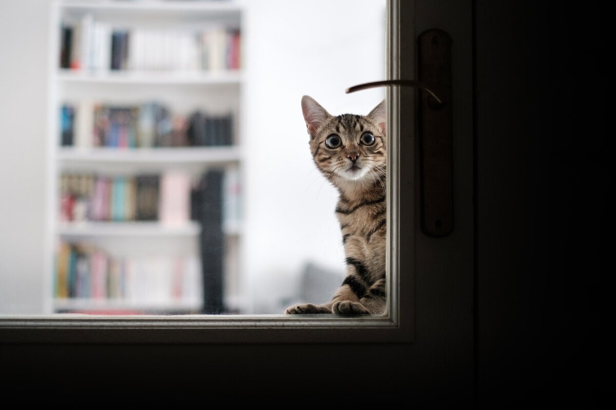 Источник: https://images.unsplash.com/photo-1503906959957-2a8d1dae9755?ixlib=rb-1.2.1&ixid=eyJhcHBfaWQiOjEyMDd9&auto=format&fit=crop&w=1650&q=80