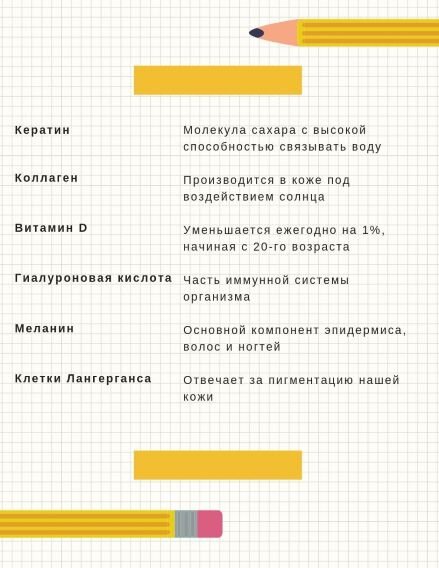 Тест "Структура кожи"