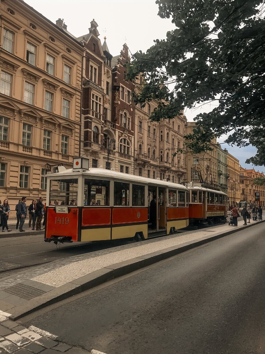 Больше фото в Instagram @kak_mestnaya