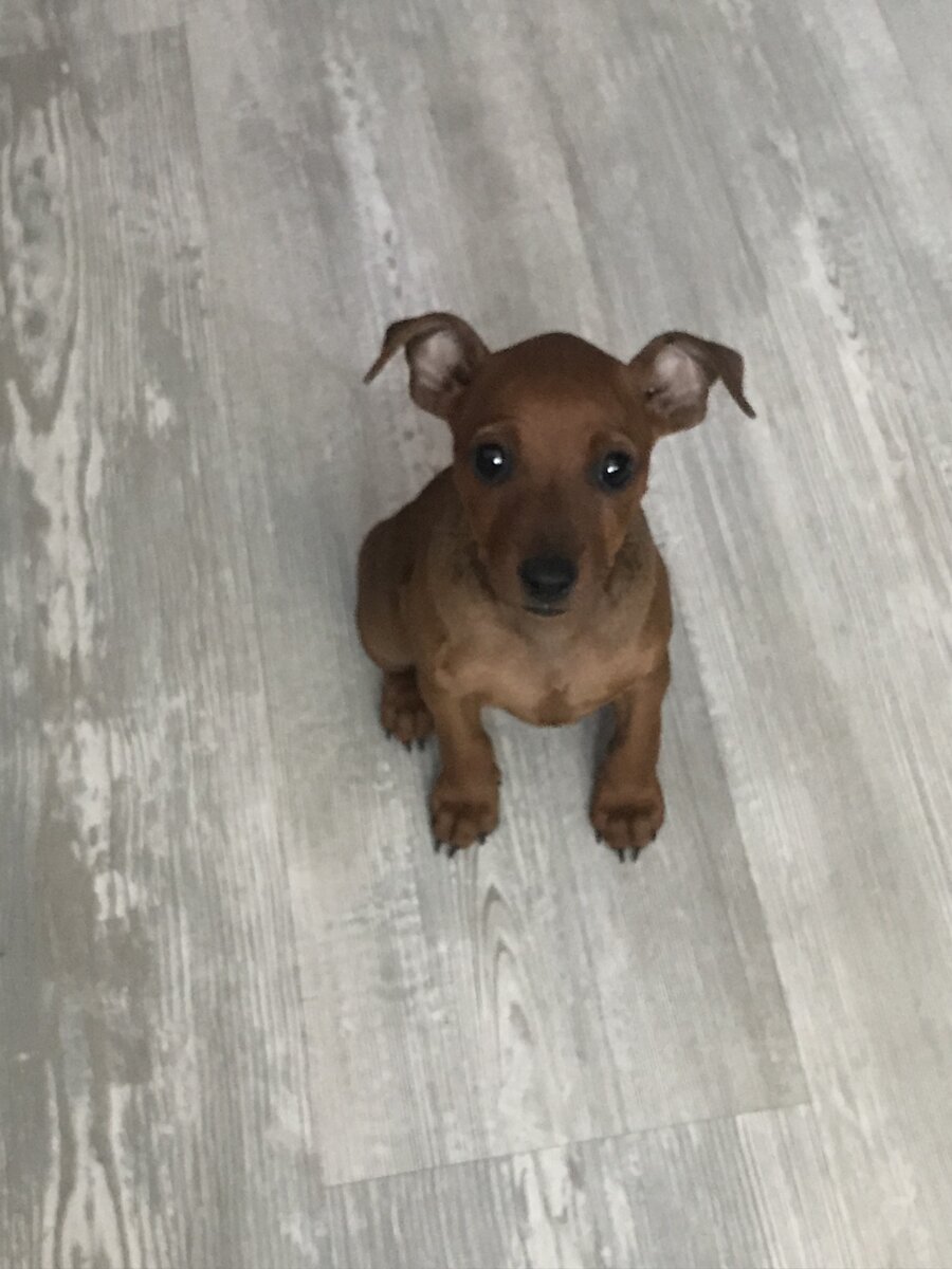 Крошке 2 месяца