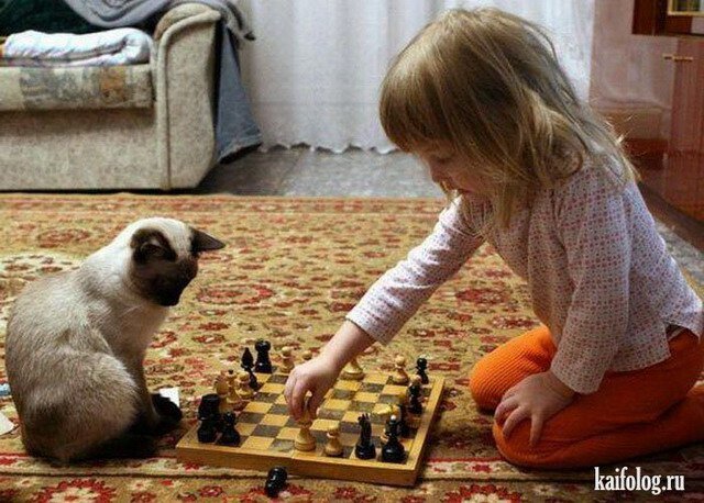 попробуй, обыграй!