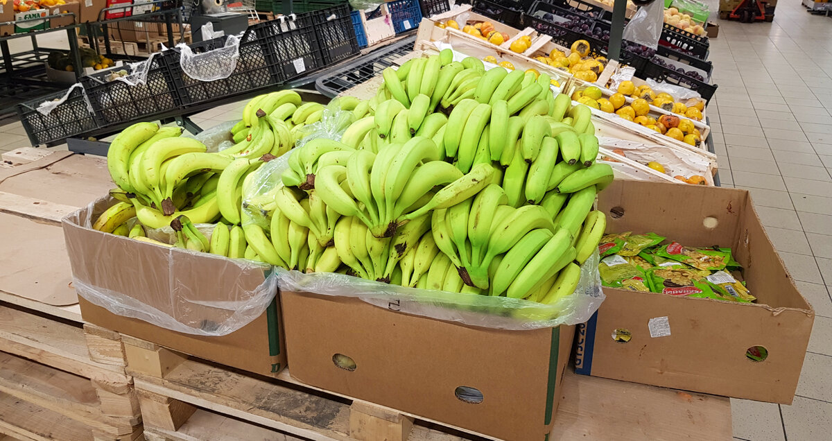 Можно есть зеленые бананы. Бананы в супермаркете. Зеленые бананы в коробке. Зеленые бананы в Пятерочке. Зеленые бананы в магазине.