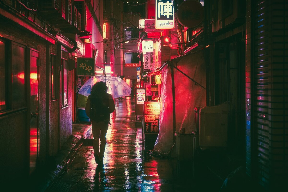 Pixabay License. https://pixabay.com/ru/photos/%D1%8F%D0%BF%D0%BE%D0%BD%D0%B8%D1%8F-%D0%BE%D1%81%D0%B0%D0%BA%D0%B0-%D0%BD%D0%BE%D1%87%D1%8C-%D0%B0%D0%B7%D0%B8%D1%8F-%D0%BE%D1%80%D0%B8%D0%B5%D0%BD%D1%82%D0%B8%D1%80-2014619/