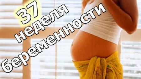 недели беременности