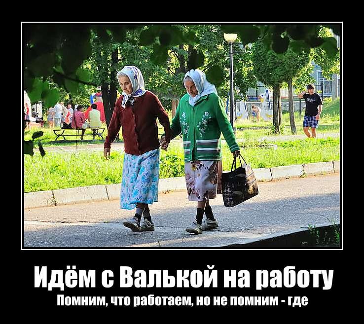 собаку тащат на поводке. семь раз отмерь иди отдохни.