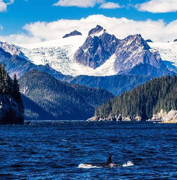 Воды Аляски.