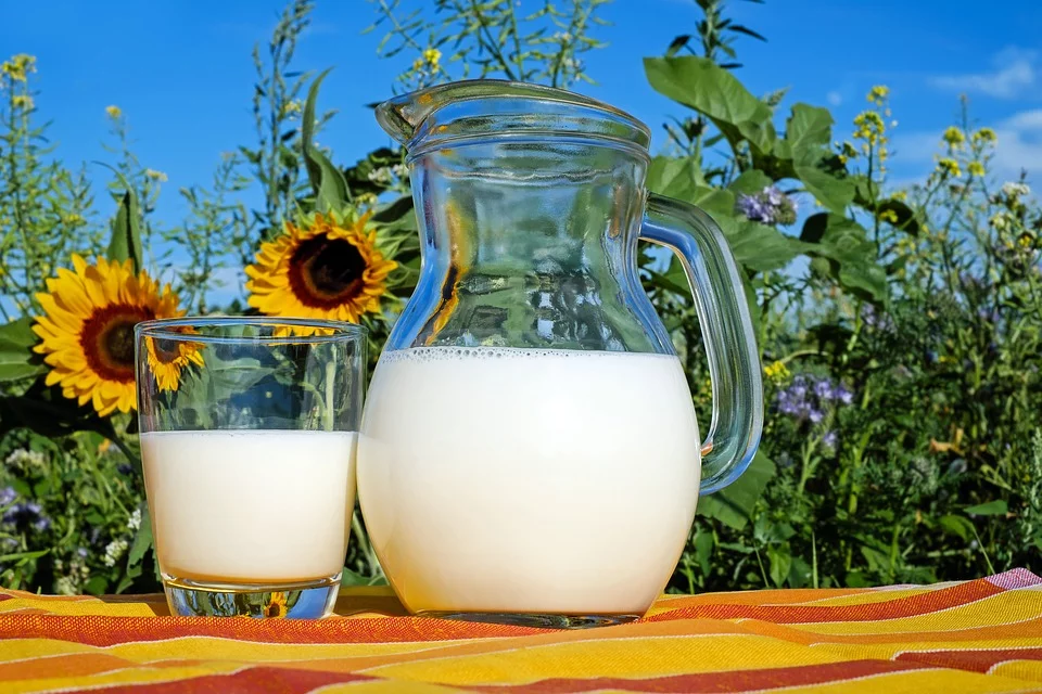https://pixabay.com/photos/milk-glass-fresh-healthy-drink-2474993/