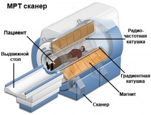 Источник: https://moydiagnos.ru